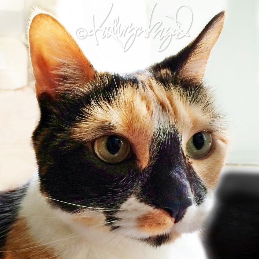 Photo: Queen of All She Surveys