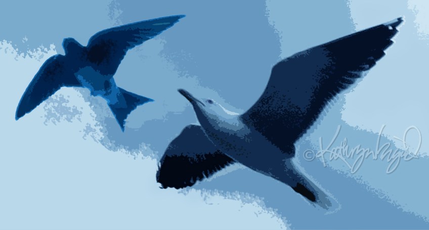 Digital illo: Birds' Words