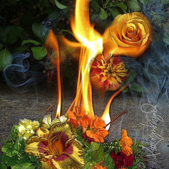 Digital illo: Creating