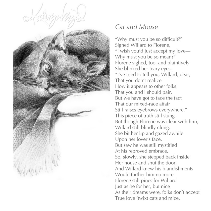 Drawing + text: Cat and Mouse