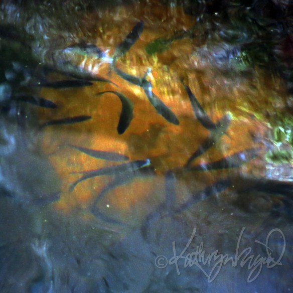 Photo: I'm about to be Schooled