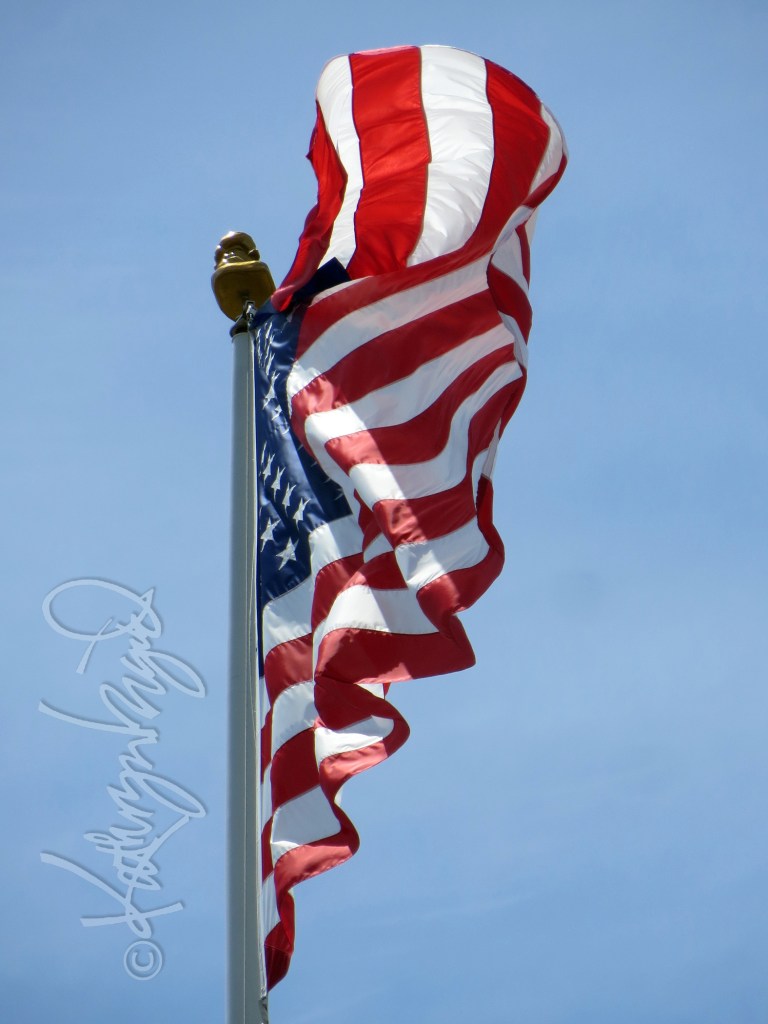 Photo: Flag-waving