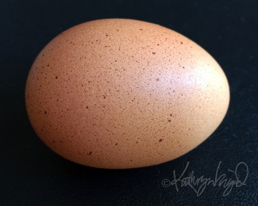 Photo: Desperation Dining 4