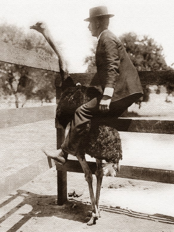 Photo: "The Amazing Feat of 'Sparks'"