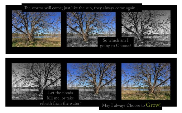 Digital illo from a photo: Choose to Grow