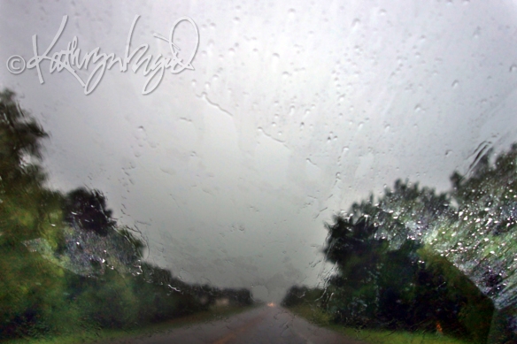 Photo: Road Rain