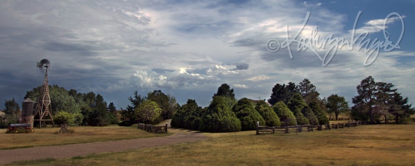 Photo: Well-Fed Landscape