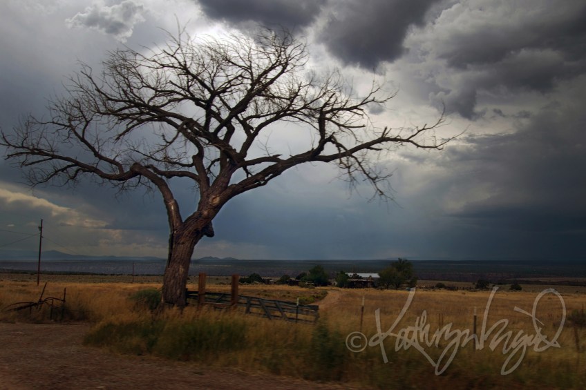 Photo: A Good Day for Reading